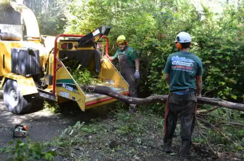 tree services Heritage Lake